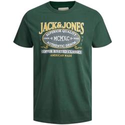 Textiel Jongens T-shirts korte mouwen Jack & Jones  Groen