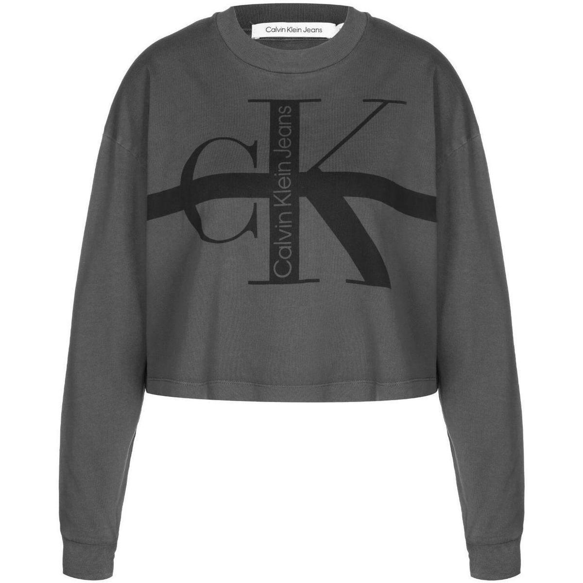 Textiel Dames Sweaters / Sweatshirts Calvin Klein Jeans  Grijs