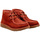 Schoenen Dames Low boots El Naturalista 256311HA0005 Grijs