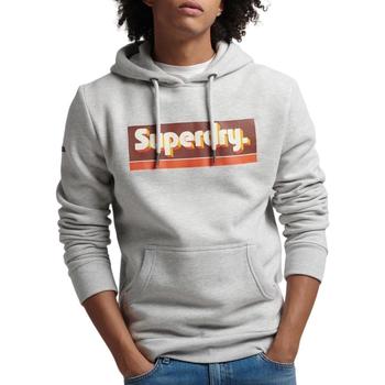 Textiel Sweaters / Sweatshirts Superdry  Grijs