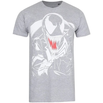 Textiel Heren T-shirts met lange mouwen Venom  Grijs