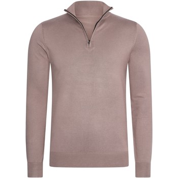Textiel Heren Sweaters / Sweatshirts Mario Russo Half Zip Trui Deep Taupe Beige