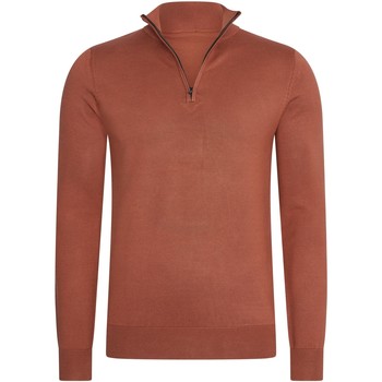 Textiel Heren Sweaters / Sweatshirts Mario Russo Half Zip Trui Picante Bruin
