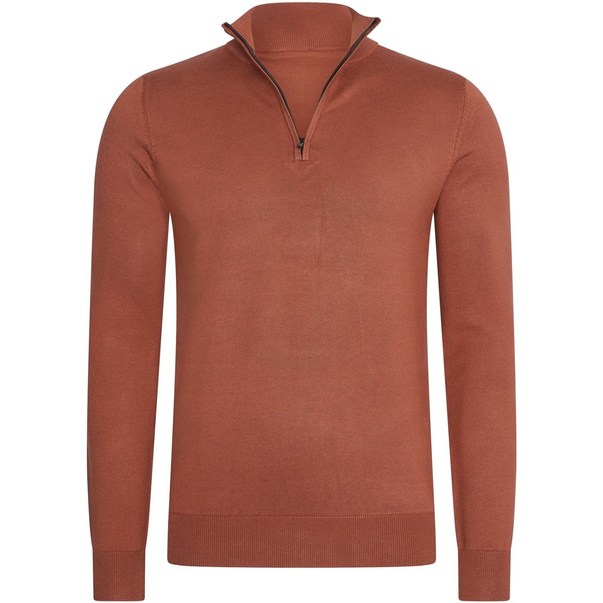 Textiel Heren Sweaters / Sweatshirts Mario Russo Half Zip Trui Picante Bruin
