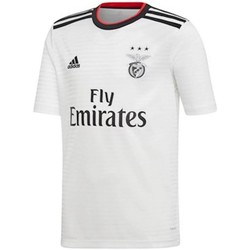 Textiel Jongens T-shirts & Polo’s adidas Originals Benfica Away Shirt Wit