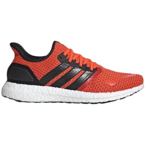 Schoenen Heren Running / trail adidas Originals Ub Sf Oranje