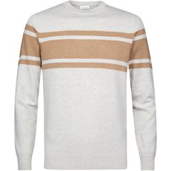 Textiel Heren Sweaters / Sweatshirts Profuomo Pullover Wol Grijs Grijs