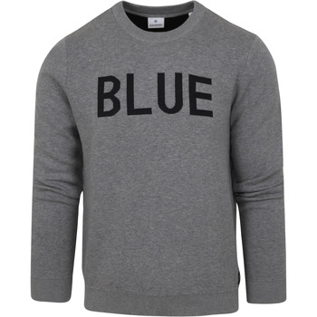 Textiel Heren Sweaters / Sweatshirts Blue Industry Trui Grijs Grijs