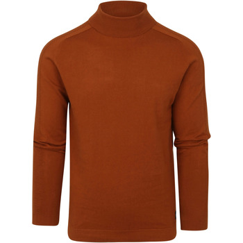 Textiel Heren Sweaters / Sweatshirts Blue Industry Coltrui Bruin Bordeau