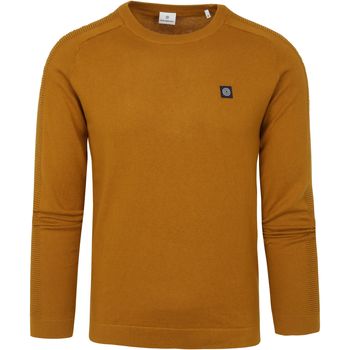 Textiel Heren Sweaters / Sweatshirts Blue Industry Pullover Okergeel Geel