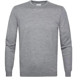 Textiel Heren Sweaters / Sweatshirts Profuomo Pullover Merinowol Grijs Grijs