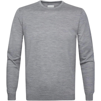 Textiel Heren Sweaters / Sweatshirts Profuomo Pullover Merinowol Grijs Grijs