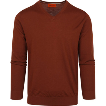 Textiel Heren Sweaters / Sweatshirts Suitable Pullover V-Hals Merino Brique Bruin