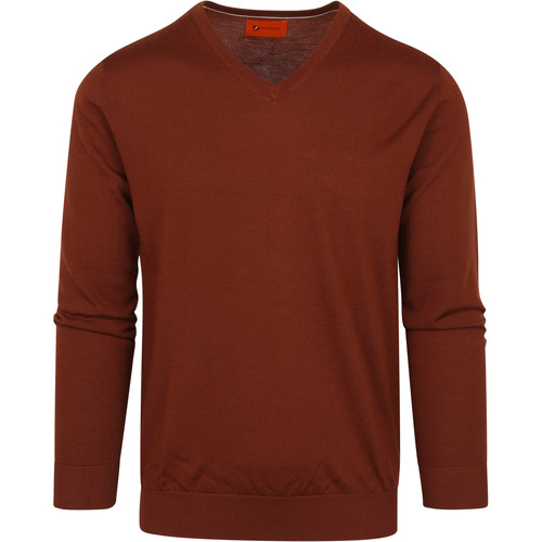 Textiel Heren Sweaters / Sweatshirts Suitable Pullover V-Hals Merino Brique Bruin
