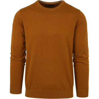 Textiel Heren Sweaters / Sweatshirts Suitable Oini Pullover O-Hals Okergeel Geel