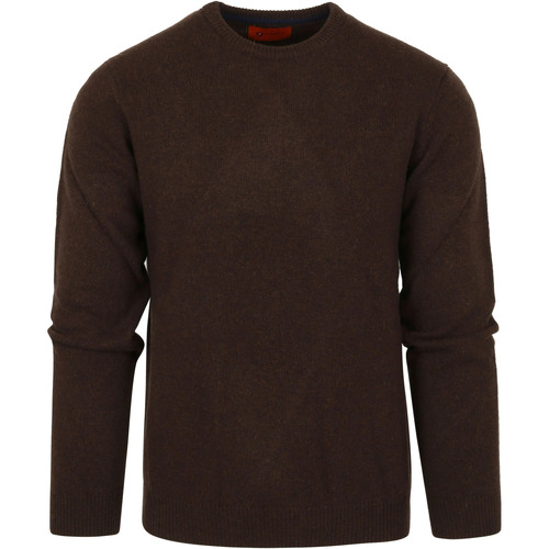Textiel Heren Sweaters / Sweatshirts Suitable Pullover Wol O-Hals Bruin Bruin