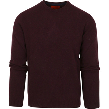 Textiel Heren Sweaters / Sweatshirts Suitable Pullover Wol O-Hals Bordeaux Multicolour