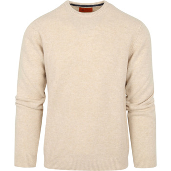 Textiel Heren Sweaters / Sweatshirts Suitable Pullover Wol O-Hals Beige Beige