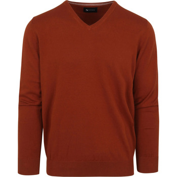 Textiel Heren Sweaters / Sweatshirts Suitable Pullover Vini V-Hals Oranje Bordeau