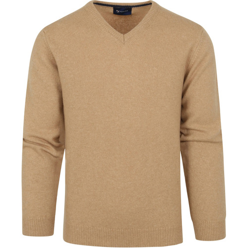 Textiel Heren Sweaters / Sweatshirts Suitable Pullover Wol V-Hals Beige Beige