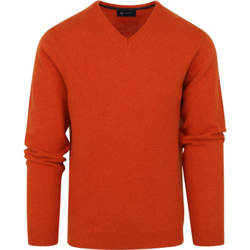 Textiel Heren Sweaters / Sweatshirts Suitable Pullover Wol V-Hals Oranje Oranje