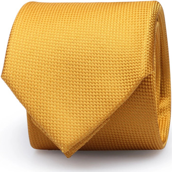 Textiel Heren Stropdassen en accessoires Suitable Zijde Stropdas Gold Geel