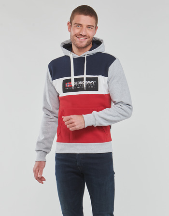 Textiel Heren Sweaters / Sweatshirts Geographical Norway GOLEM Grijs / Bont