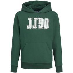 Textiel Jongens Sweaters / Sweatshirts Jack & Jones  Groen