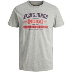 Textiel Jongens T-shirts korte mouwen Jack & Jones  Grijs