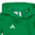 Textiel Kinderen Sweaters / Sweatshirts adidas Performance ENT22 HOODY Y Groen