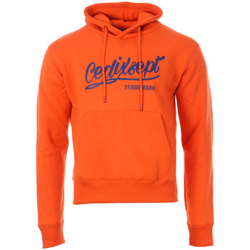 Textiel Heren Sweaters / Sweatshirts C17  Oranje