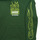 Textiel Kinderen Sweaters / Sweatshirts Vans NEON FLAMES PO Groen