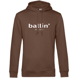 Textiel Heren Truien Ballin Est. 2013 Basic Hoodie Bruin