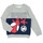 Textiel Jongens Sweaters / Sweatshirts Name it NMMJUBI SPIDEY SWEAT UNB MAR Grijs