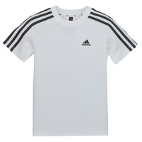 Textiel Kinderen T-shirts korte mouwen Adidas Sportswear LK 3S CO TEE Wit