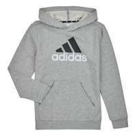 Textiel Jongens Sweaters / Sweatshirts Adidas Sportswear BL 2 HOODIE Bruyère / Grijs