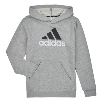 Textiel Jongens Sweaters / Sweatshirts Adidas Sportswear BL 2 HOODIE Grijs
