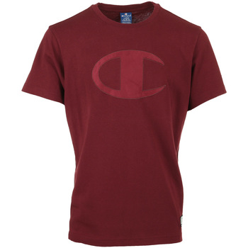 Textiel Heren T-shirts korte mouwen Champion Crewneck T-Shirt Rood