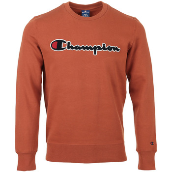 Textiel Heren Sweaters / Sweatshirts Champion Crewneck Sweatshirt Bruin
