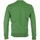 Textiel Heren Sweaters / Sweatshirts Champion Crewneck Sweatshirt Groen