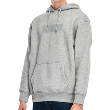 Textiel Heren Sweaters / Sweatshirts Levi's  Grijs