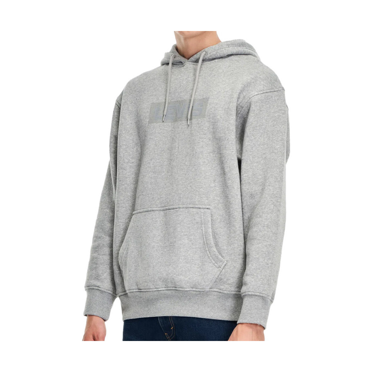 Textiel Heren Sweaters / Sweatshirts Levi's  Grijs