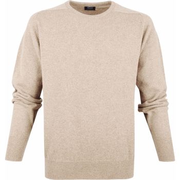 Textiel Heren Sweaters / Sweatshirts William Lockie Trui Lamswol Beige Beige