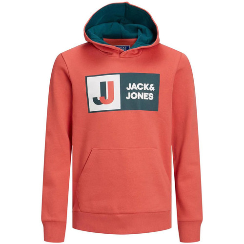 Textiel Jongens Sweaters / Sweatshirts Jack & Jones  Rood