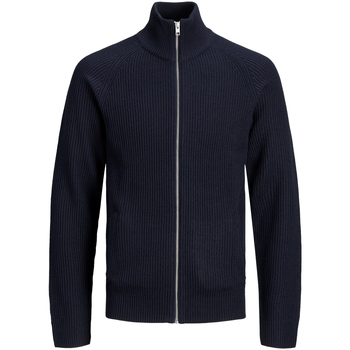 Textiel Heren Sweaters / Sweatshirts Jack & Jones JJpannel Knit Zip Cardigan Blauw