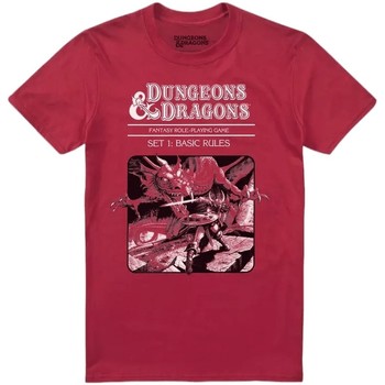 Textiel Heren T-shirts met lange mouwen Dungeons & Dragons  Rood