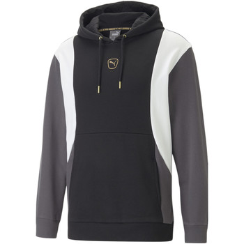 Textiel Heren Sweaters / Sweatshirts Puma Sweatshirt à capuche  King Top Zwart