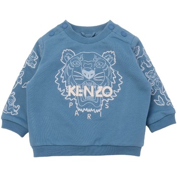 Textiel Meisjes Sweaters / Sweatshirts Kenzo K95015 