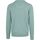 Textiel Heren Sweaters / Sweatshirts Casa Moda Pullover V-Hals Mintgroen Groen