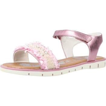 Schoenen Meisjes Sandalen / Open schoenen Chicco CAYLA Roze